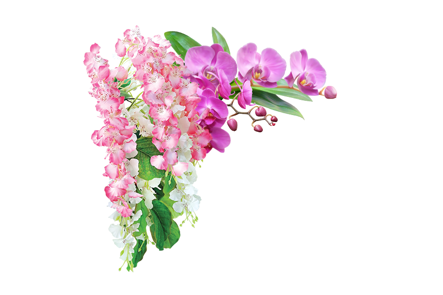 Image is not available